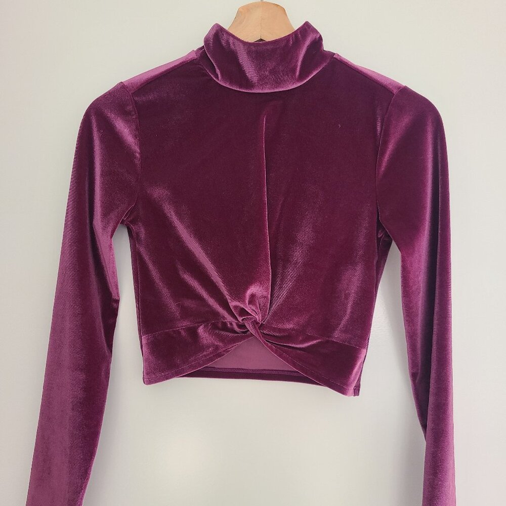 Lovers & Friends Purple Velvet Long Sleeve Crop Top Size XS
